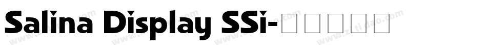 Salina Display SSi字体转换